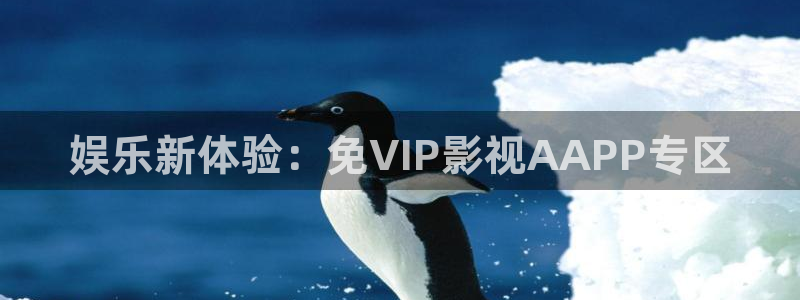 日韩午夜电影在线播放