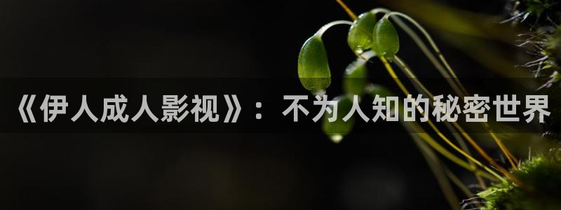 92午夜宅男影院