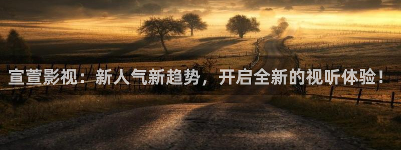 午夜在线看片不卡