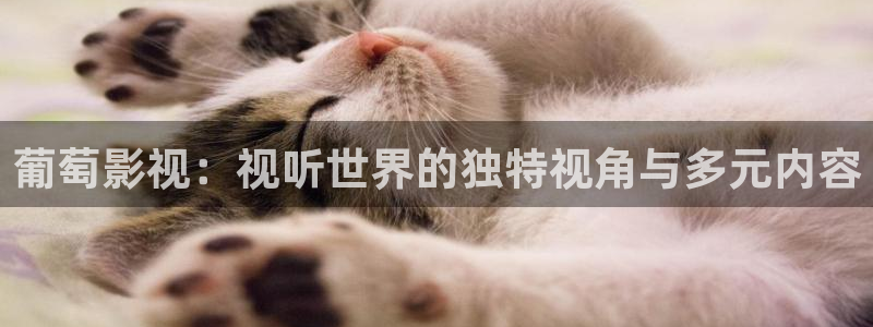 午夜男女爽爽影院网站