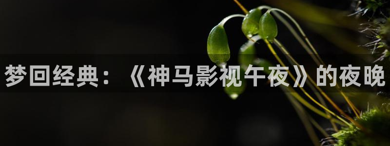 午夜影院在线看